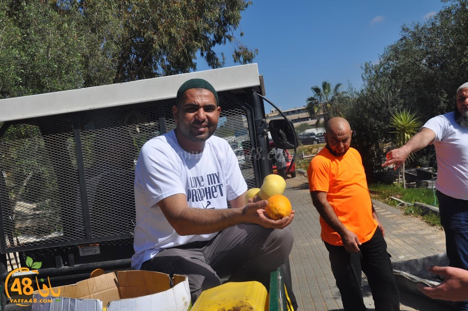 tasohamlalanjna (5).jpg